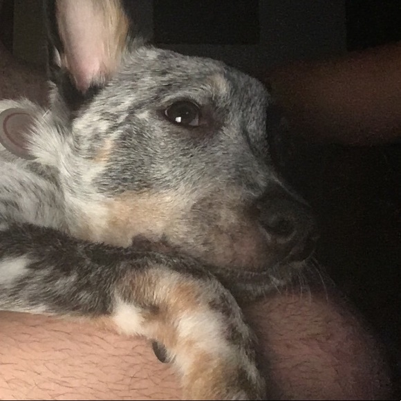 Meet your Posher, Brian - Picture 1 of 1